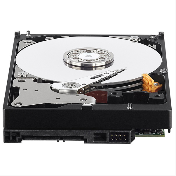 HDD 4TB Western Digital Purple (Tím) WD43PURZ | Chính hãng; 24T